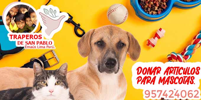  ▷ Donde Donar Artículos a Refugios de Animales en Lima Perú.